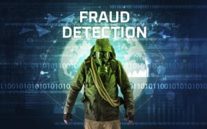 Audit and Fraud Detection for Information Systems